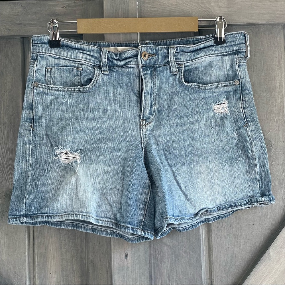 Anthropologie Pilcro and the Letterpress Slim Boyfriend Denim‎ Short Size 29